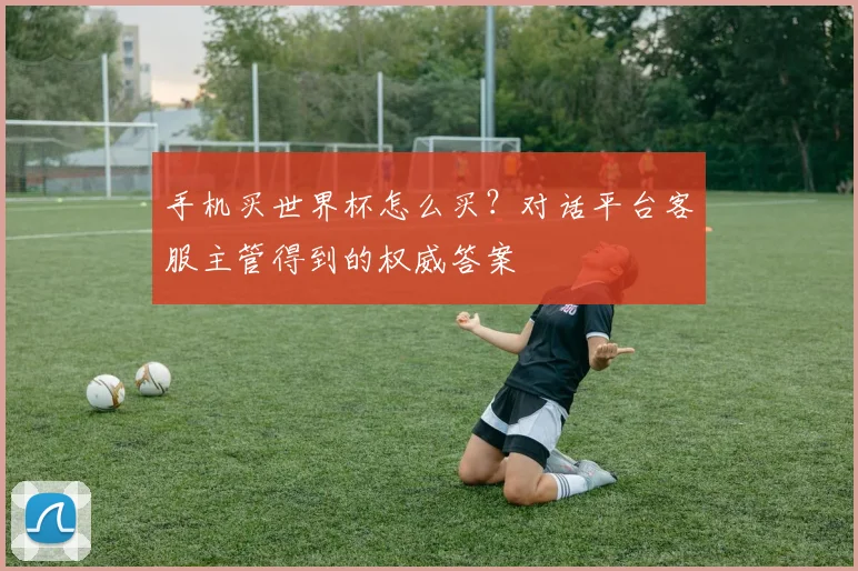 手机买世界杯怎么买？对话平台客服主管得到的权威答案