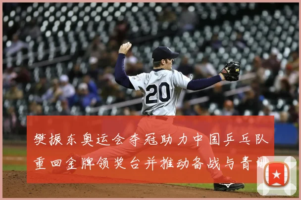 樊振东奥运会夺冠助力中国乒乓队重回金牌领奖台并推动备战与青训调整