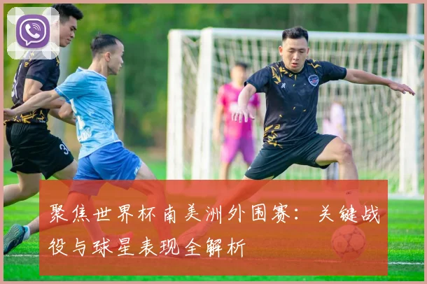 聚焦世界杯南美洲外围赛：关键战役与球星表现全解析