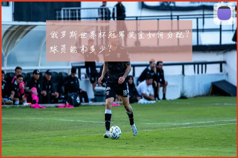 俄罗斯世界杯冠军奖金如何分配？球员能拿多少？