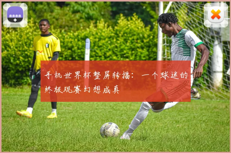手机世界杯整屏转播：一个球迷的终极观赛幻想成真
