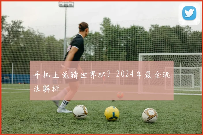 手机上竟猜世界杯？2024年最全玩法解析